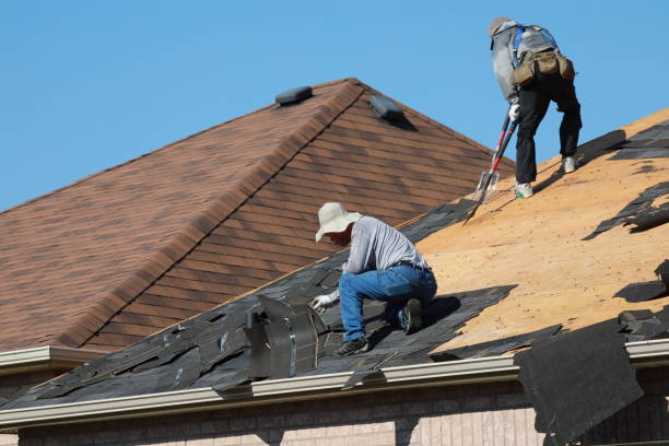 Best Solar Panel Roofing Installation  in Cienegas Terrace, TX
